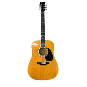 American Legacy AL-100 Acoustic/Electric Guitar