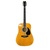 American Legacy AL-100 Acoustic/Electric Guitar