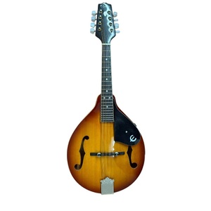 Epiphone MM30 Mandolin in Case