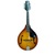 Epiphone MM30 Mandolin in Case
