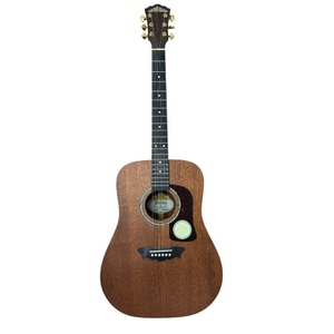 Washburn WD-18SW Dreadnought acoustic guitar
