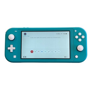 Nintendo Switch Lite w/ charger