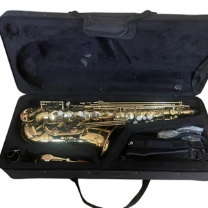 Cecilio Mendini Alto Saxophone in Case
